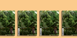 Capa do guia de viagens da ilha da madeira da revista observador lifestyle